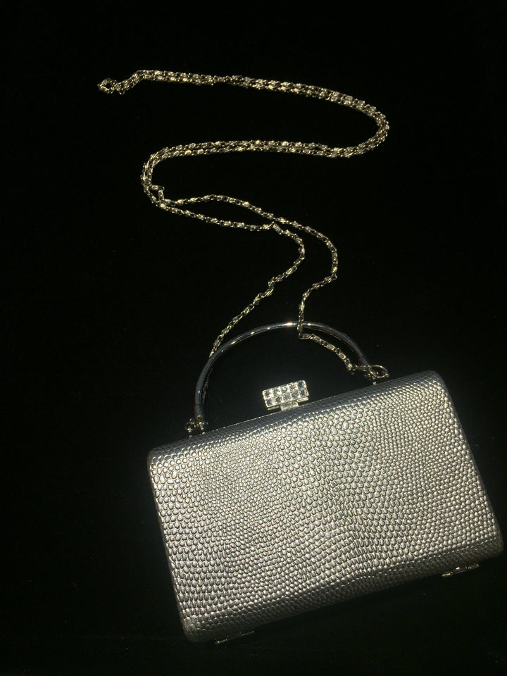 The Shannie Purse in Silver